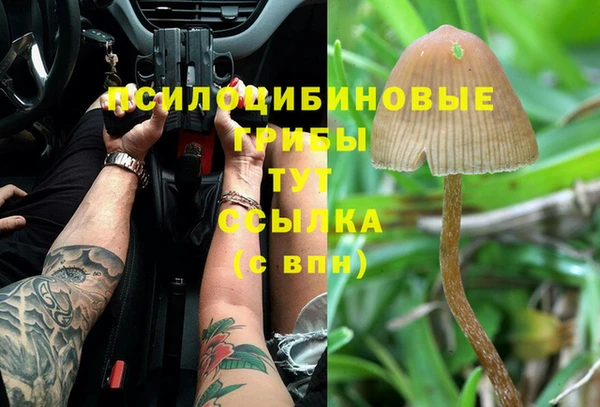 крисы Беломорск